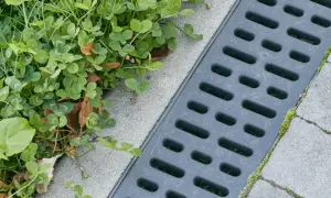 Szary wpust kanalizacyjny obok zielonej trawy i betonowych płyt.