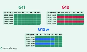 Taryfy G11, G12 i G12w pokazują, ile kosztuje kilowat w różnych godzinach i dniach tygodnia.