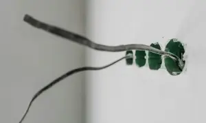Przewody elektryczne wychodzące z zielonych puszek instalacyjnych, gotowe do podłączenia uziemienia w gniazdku.