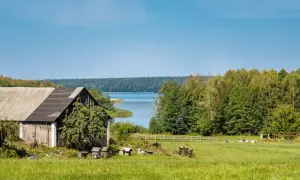 Zabudowa zagrodowa nad jeziorem, z drewnianą stodołą, zieloną łąką i lasem w tle.