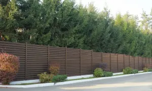 Ciemnobrązowy płot lamelowy, za którym rosną wysokie świerki, stanowi świetne rozwiązanie, czym zasłonić płot od sąsiada.