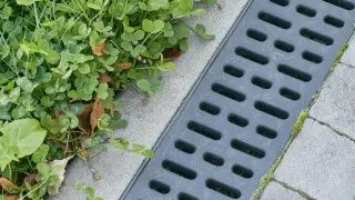 Szary wpust kanalizacyjny obok zielonej trawy i betonowych płyt.