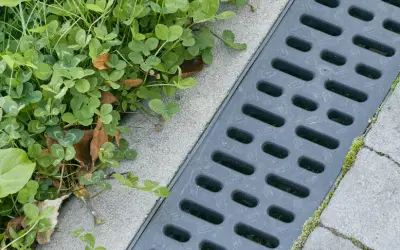 Szary wpust kanalizacyjny obok zielonej trawy i betonowych płyt.