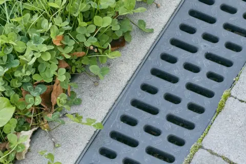 Szary wpust kanalizacyjny obok zielonej trawy i betonowych płyt.
