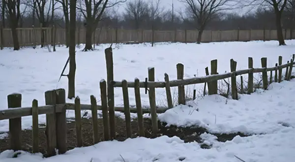 Drewniany płot z nierównymi słupkami, otoczony śniegiem i nagimi drzewami.