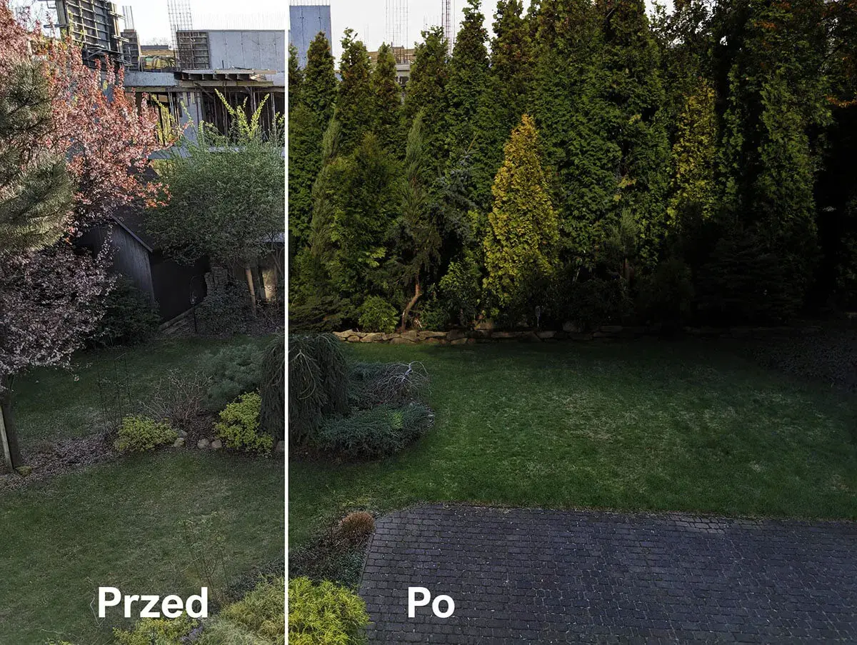 Ogród przed i po: jak odgrodzić się od sąsiada? Zdjęcia pokazują metamorfozę – od widoku na budowę do zielonej, prywatnej oazy dzięki gęstym drzewom.