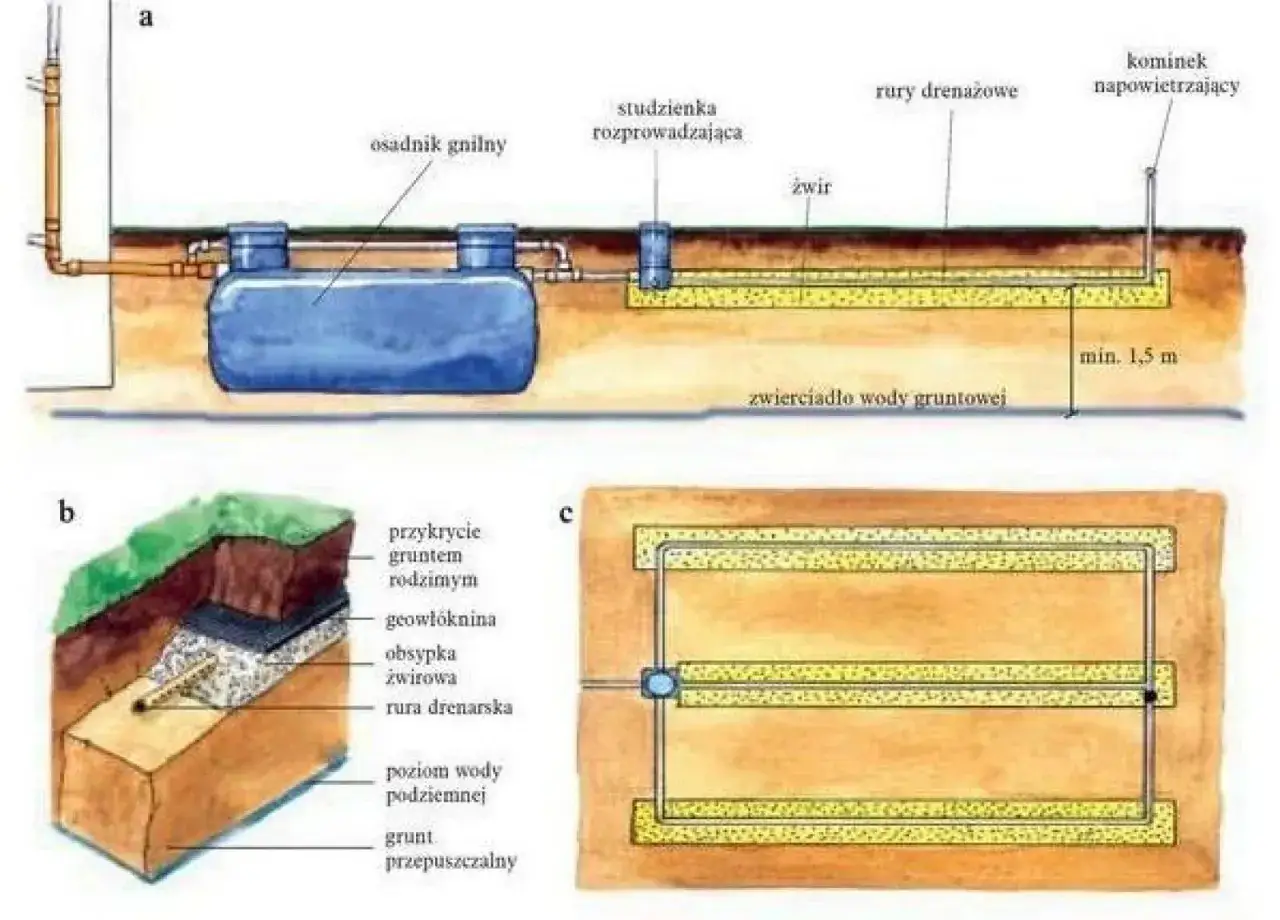 Schemat instalacji oczyszczalni ścieków z drenażem rozsączającym. Woda z osadnika gnilnego przepływa przez studzienkę rozprowadzającą do rur drenarskich w żwirowej obsypce.