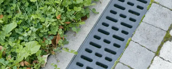 Szary wpust kanalizacyjny obok zielonej trawy i betonowych płyt.