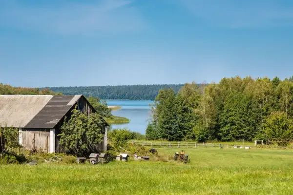 Zabudowa zagrodowa nad jeziorem, z drewnianą stodołą, zieloną łąką i lasem w tle.